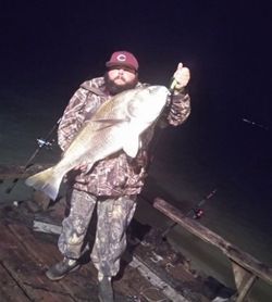 Black  Drum Fishing In Corpus Christi, TX 